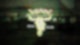 Wacken World Wide