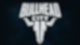 Bullhead City Logo
