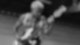 Flea
