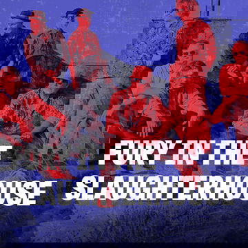 Fury in the Slaughterhouse