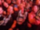 Kai beim WWE 1.jpg