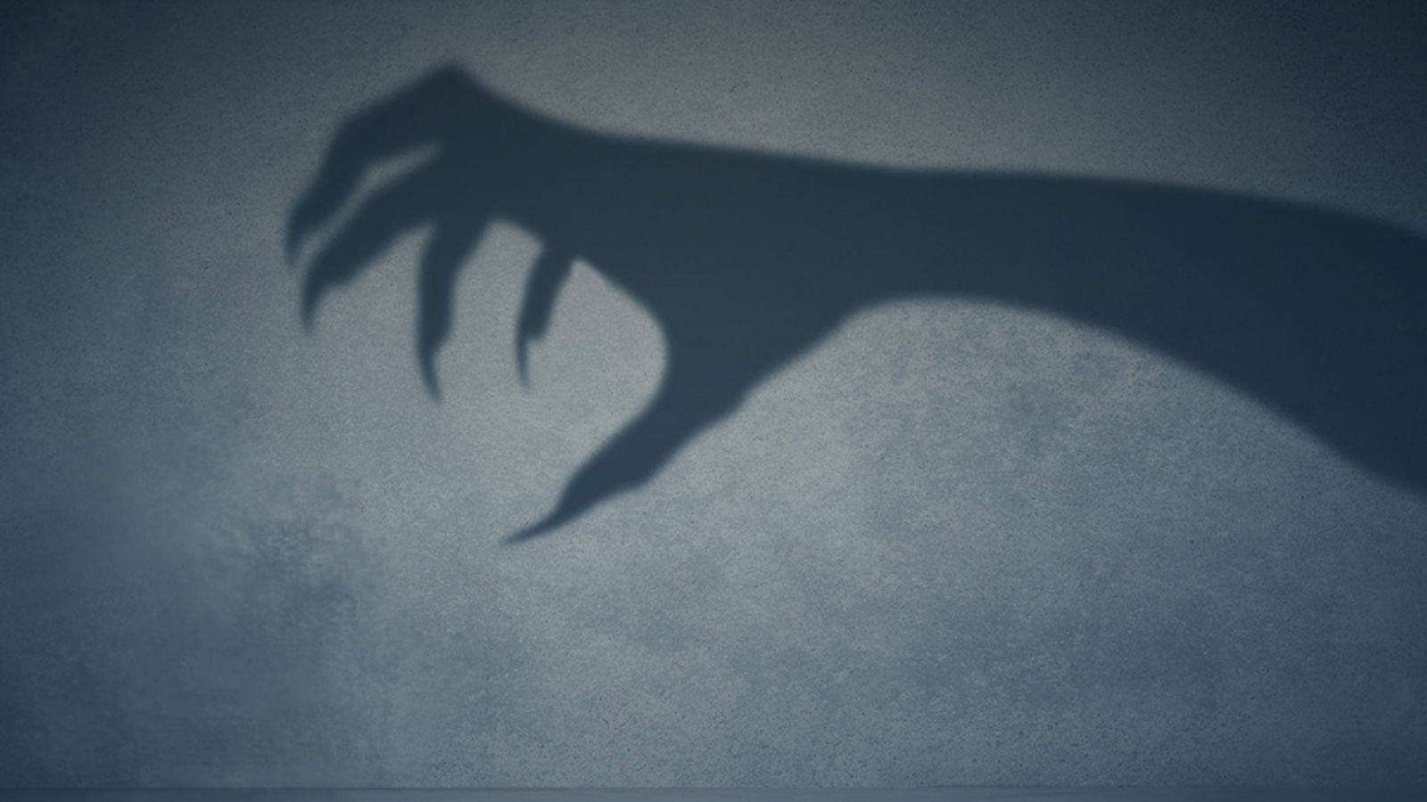 BOB_Rockstars mit Phobien_16-9.jpg