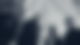 BOB_Smashing Pumpkins 2018_16-9.jpg