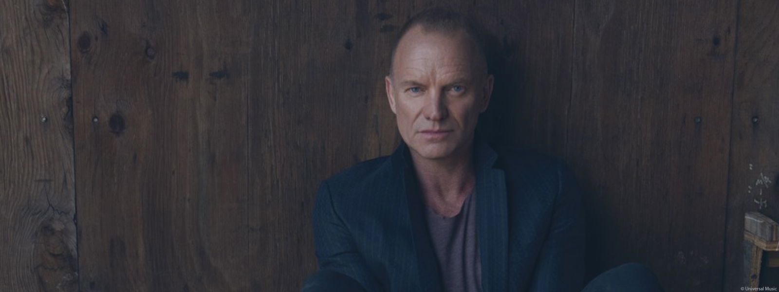 Sting