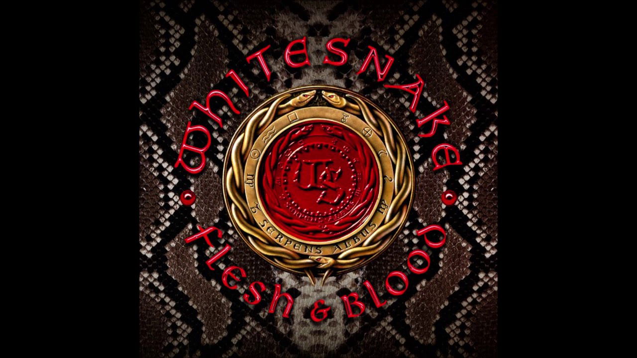 Whitesnake - Trouble Is Your Middle Name (Official Audio Track)