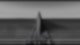 Deftones – Ohms (Official Music Video)