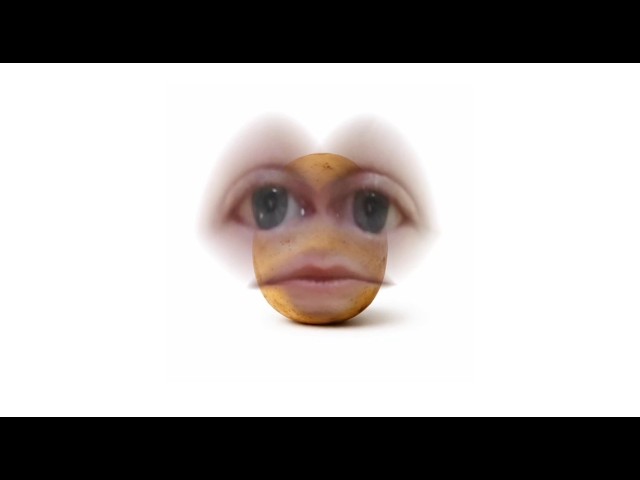 TBS - POTATO (Pomme De Terre)