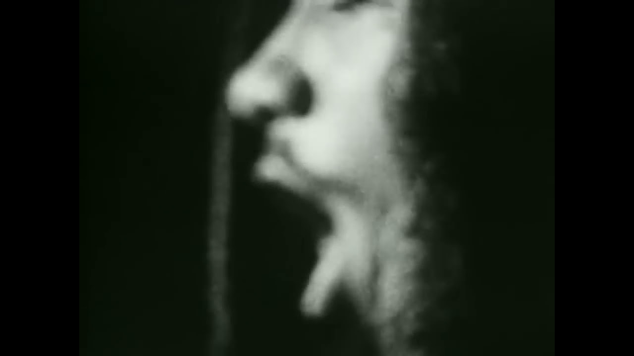 BAD BRAINS - 'I Against I'