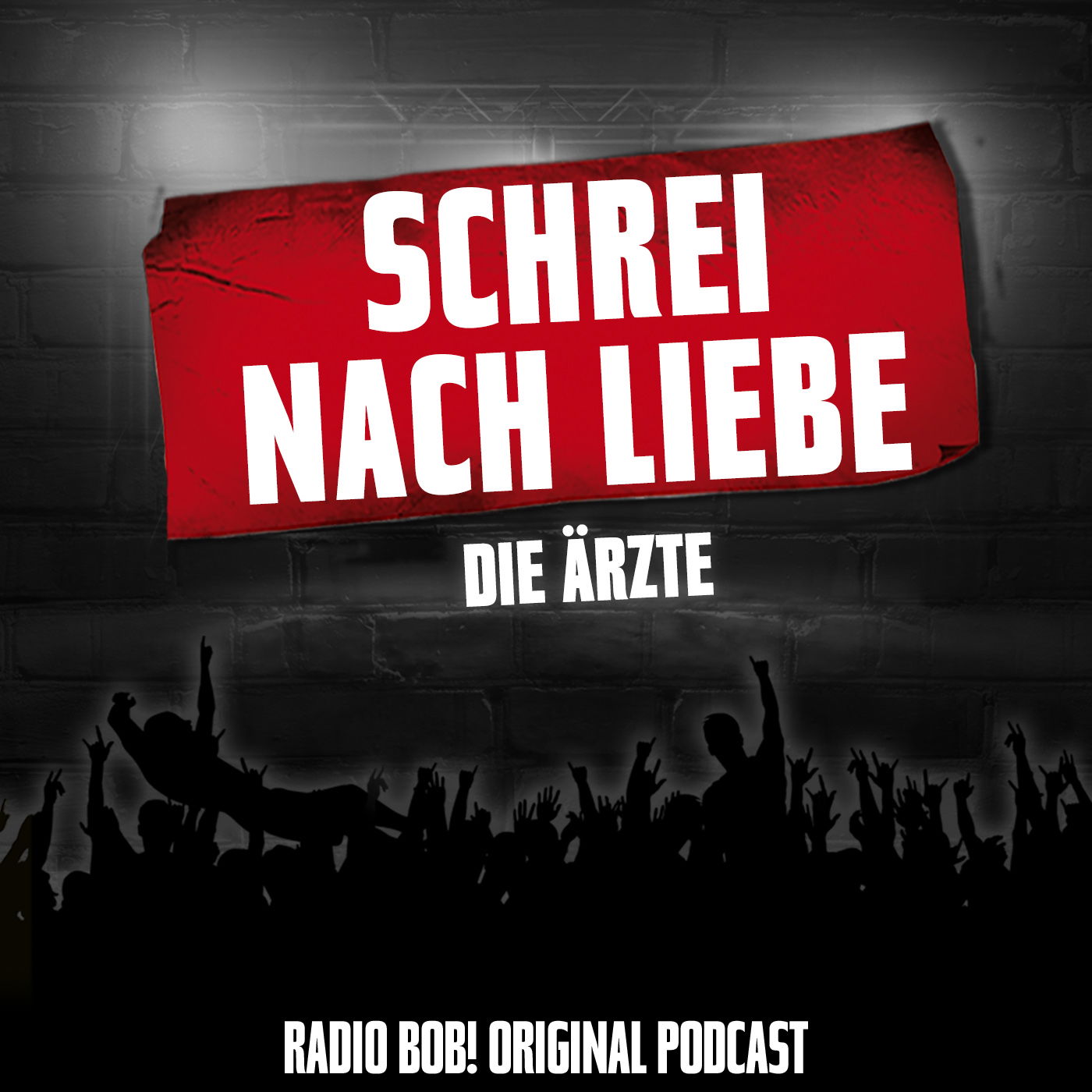 "Schrei nach Liebe" von Die Ärzte