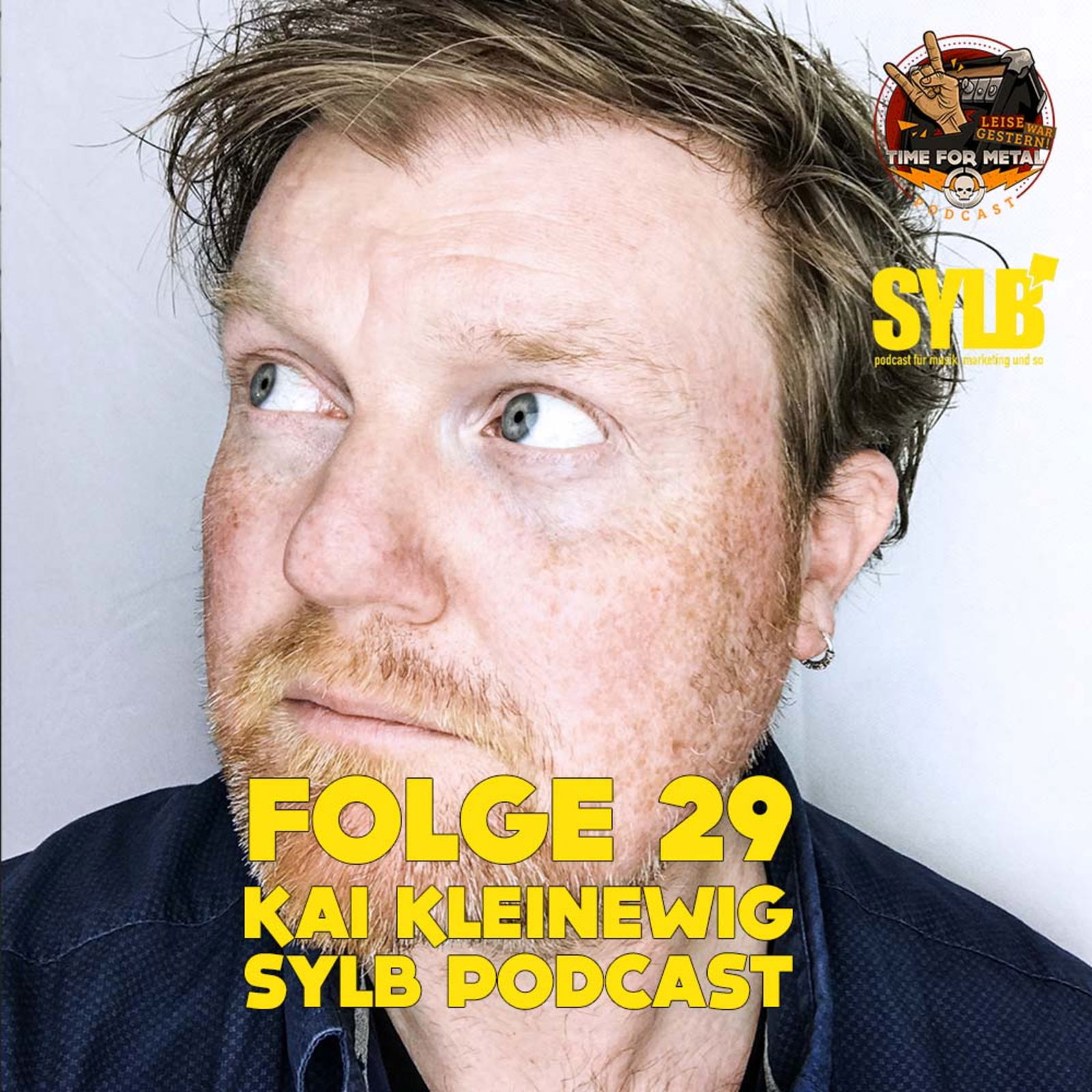 Folge 29 - SYLB - DIY Marketing für Bands mit Kai Kleinewig