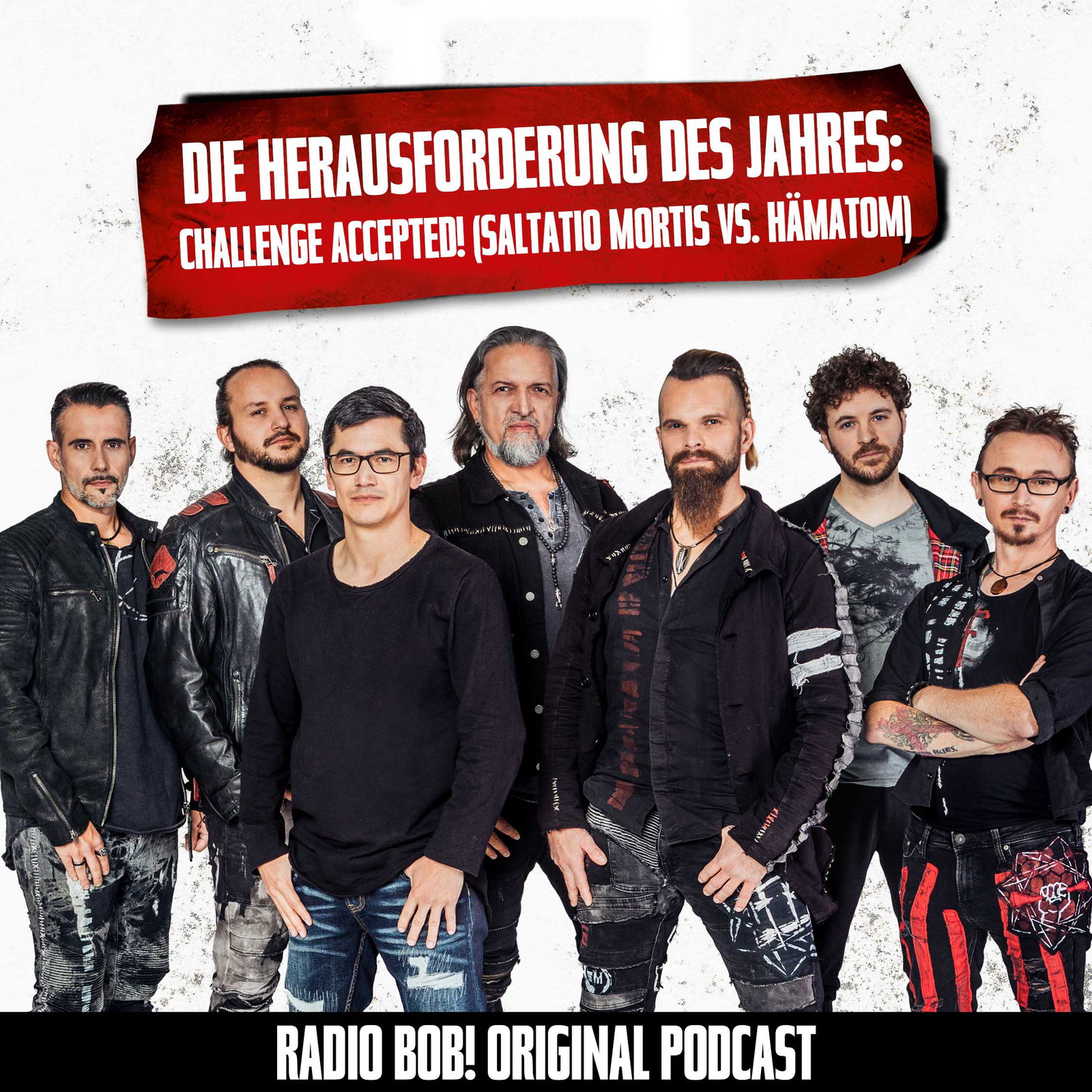 #36 Die Herausforderung des Jahres: Challenge accepted! (Saltatio Mortis vs. Hämatom)
